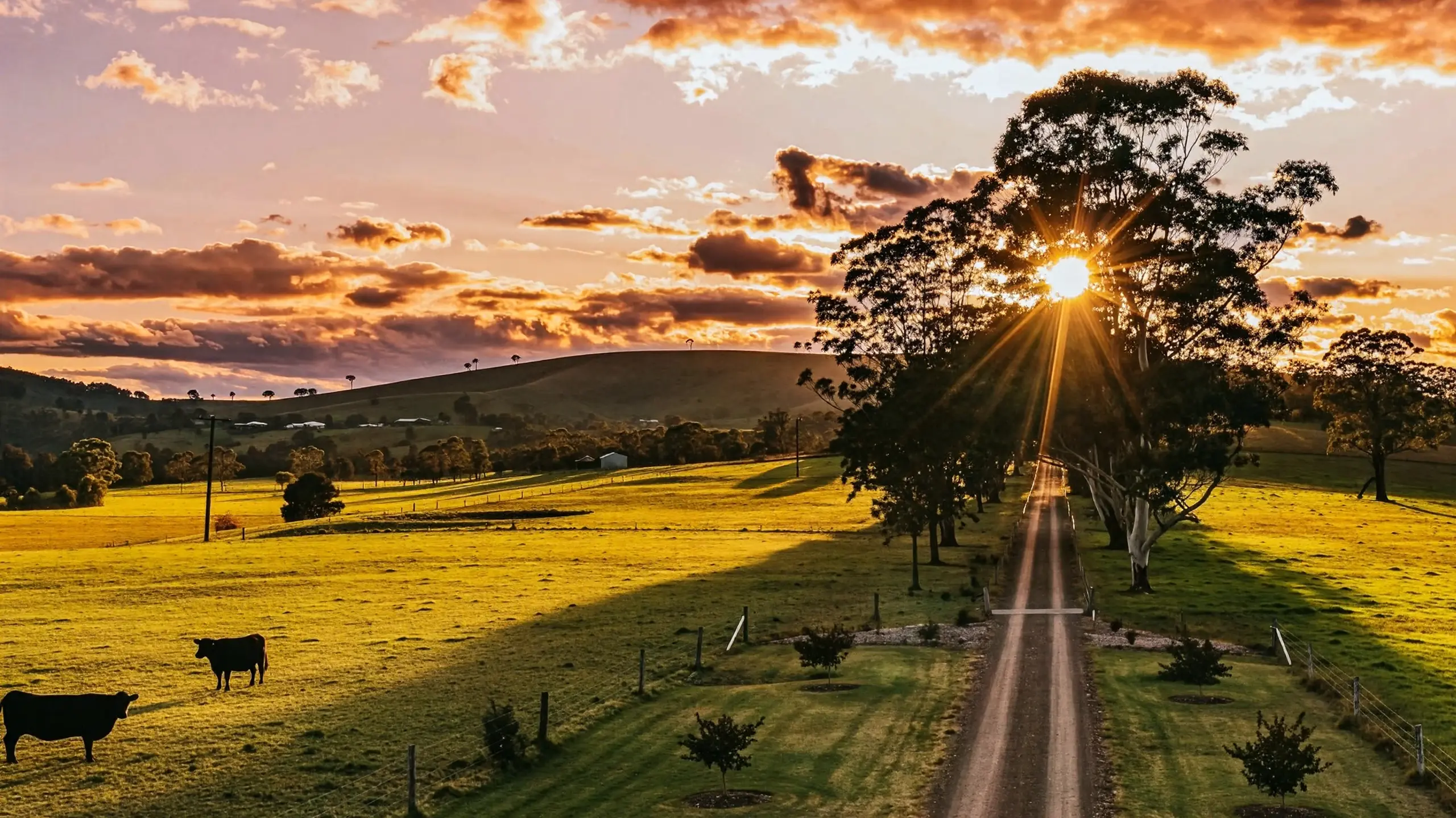 Landscape background with sunset and rolling hills