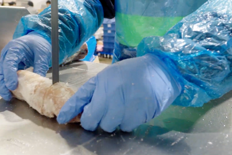 House of Carnivore team member 2